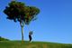 Pinheiros Altos Golf Course, Quinta do Lago, Algarve Pinheiros Altos Golf Course, Quinta do Lago, Algarve