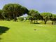 Olives Golf Course (Hole 01)